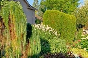 4345 Gallaghers Fairway S - Photo 44