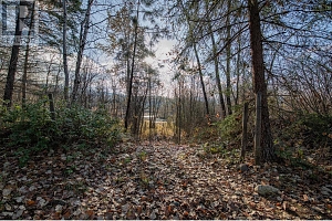 370 Charles Road - Photo 18