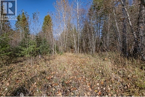 370 Charles Road - Photo 20