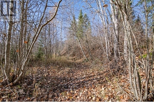 370 Charles Road - Photo 21