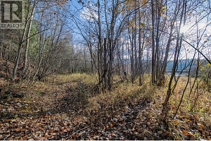370 Charles Road - Photo 22
