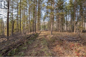 370 Charles Road - Photo 29