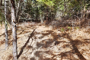 10742 Pinecrest Road Lot# 85 - Photo 2