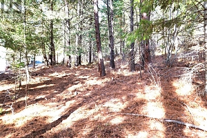 10742 Pinecrest Road Lot# 85 - Photo 6