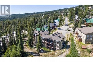 4939 Snow Pines Road Unit# 4 - Photo 2