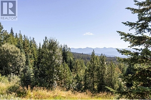 4939 Snow Pines Road Unit# 4 - Photo 20