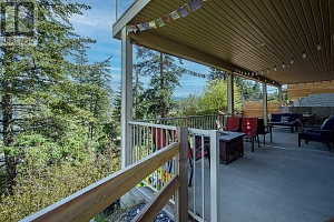 11617 Pretty Road - Photo 50