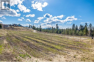 3977/3979 Hart Road - Photo 7