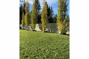 70 Smoker Road - Photo 29