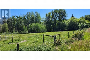 20 Dunlevy Road - Photo 38