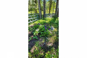 20 Dunlevy Road - Photo 41