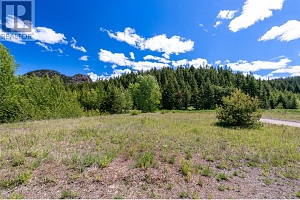 65 Settlers Road Lot# 4171 - Photo 19