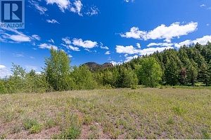 65 Settlers Road Lot# 4171 - Photo 20