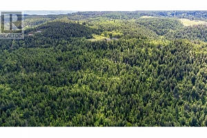 65 Settlers Road Lot# 4171 - Photo 6