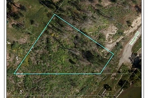 Lot 25 Hodges Road - Photo 10