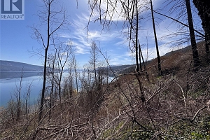 Lot 25 Hodges Road - Photo 13