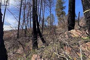 Lot 25 Hodges Road - Photo 14