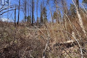 Lot 25 Hodges Road - Photo 15