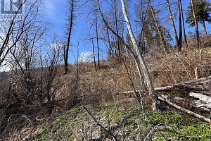 Lot 25 Hodges Road - Photo 17