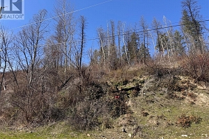 Lot 25 Hodges Road - Photo 18