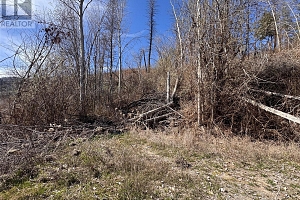 Lot 25 Hodges Road - Photo 4