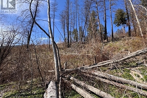 Lot 25 Hodges Road - Photo 5