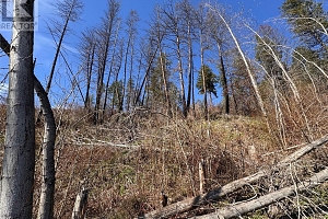 Lot 25 Hodges Road - Photo 6