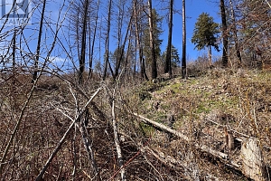 Lot 25 Hodges Road - Photo 7