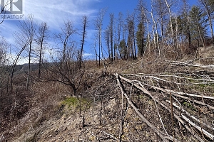 Lot 25 Hodges Road - Photo 8