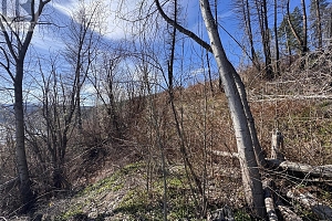 Lot 25 Hodges Road - Photo 9