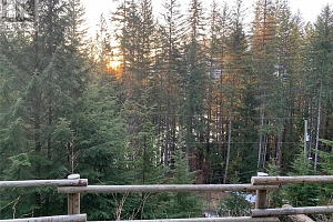 44 Mabel Lake Subdivision Road - Photo 34