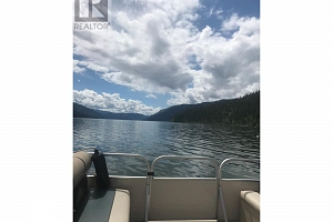 44 Mabel Lake Subdivision Road - Photo 35