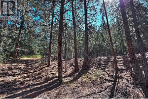 11091 Hare Road - Photo 4