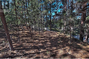 11091 Hare Road - Photo 5