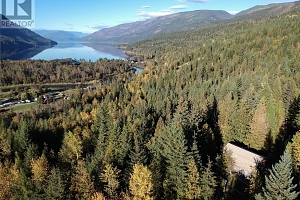 3217 Lumby Mabel Lake Road - Photo 23