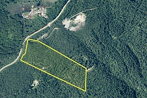3217 Lumby Mabel Lake Road - Photo 31