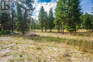 6386 Highway 33 Highway - Photo 15