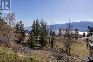 4623 Ponderosa Drive - Photo 6