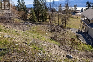 4623 Ponderosa Drive - Photo 7
