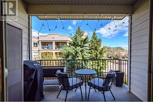 2142 Vasile Road Unit# 211 - Photo 25