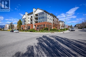 2142 Vasile Road Unit# 211 - Photo 6