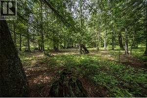 1075 Six Mile Creek Road - Photo 73