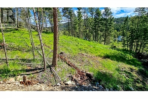 1833 Cardinal Creek Road - Photo 10