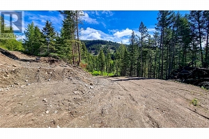 1833 Cardinal Creek Road - Photo 12