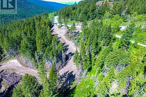 1833 Cardinal Creek Road - Photo 2