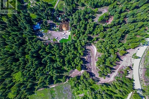 1833 Cardinal Creek Road - Photo 4