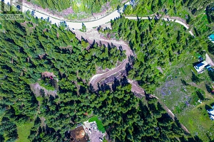 1833 Cardinal Creek Road - Photo 5