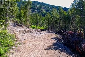 1833 Cardinal Creek Road - Photo 6