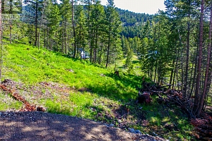 1833 Cardinal Creek Road - Photo 7