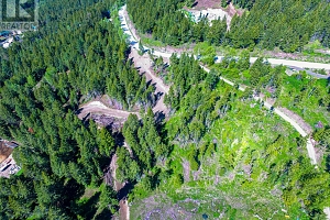 1833 Cardinal Creek Road - Photo 8